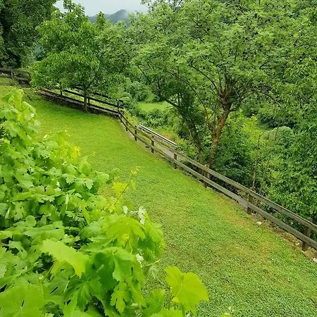 Casa En El Valle Del Oso Holiday home